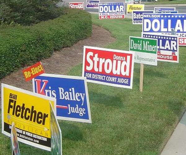 Political Signs in curb grass
